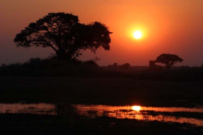 African Sunset
