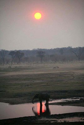 Little Makololo Camp