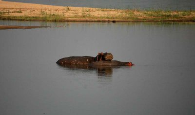 XXIMG_9557.jpg