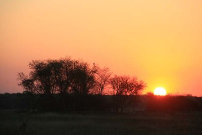 African Sunset