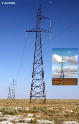 9354- powerlines then and now