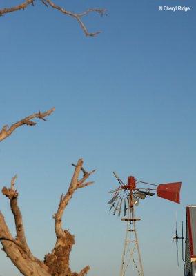 7623b- windmill at Silverton