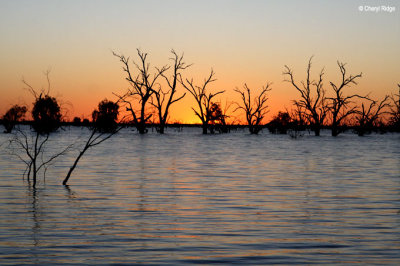 9272- Menindee Lakes sunset