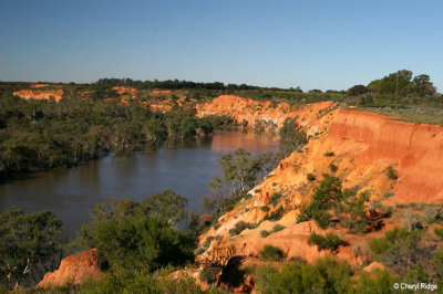 8086b- Heading Cliffs lookout, Renmark
