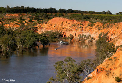 8088b- Heading Cliffs lookout, Renmark