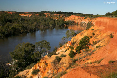 8101b- Heading Cliffs lookout, Renmark