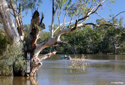 8190- River Murray boating and fishing