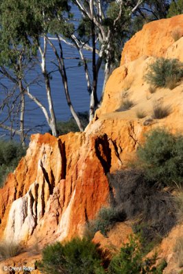 9385- Headings Cliffs, Renmark