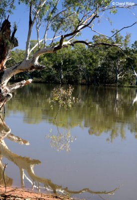 9429- River Murray, Renmark
