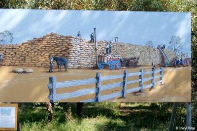 8351- Town of Rainbow - mural - wheatstacks