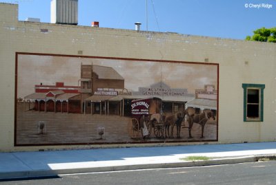 8542- Town of Rainbow  - mural