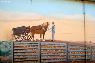 8547- Town of Rainbow  - mural