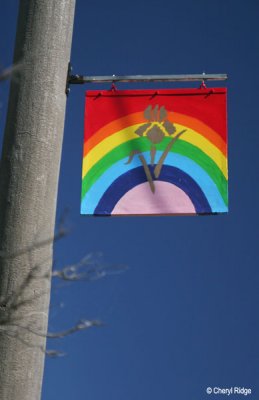 8581- Town of Rainbow - main street