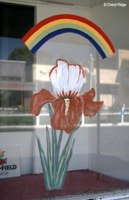 8587- Town of Rainbow  - Iris painting