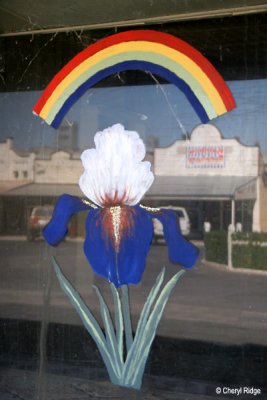 8588- Town of Rainbow - Iris painting