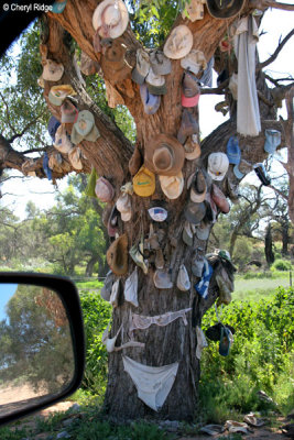 8247- hat tree now with undies and bras