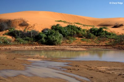 9356- Perry Sand hills and water