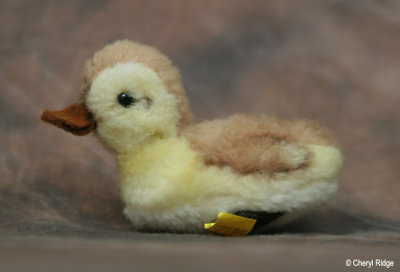 steiff duck chick