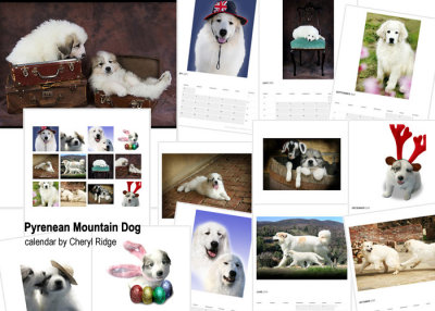 Pyrenean Mountain Dog calendar created on Redbubble