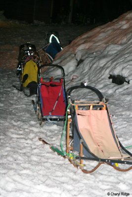 0467 dog sleds