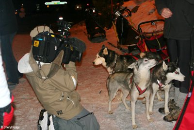 0483 sled dogs