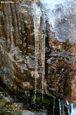 0354  icicles