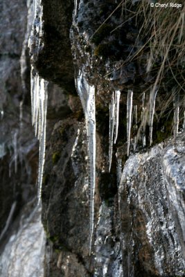 0365 icicles