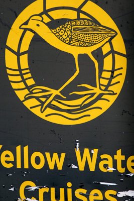 6283-yellow-water.jpg