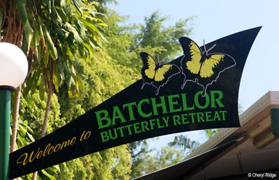 6904-butterfly retreat.jpg