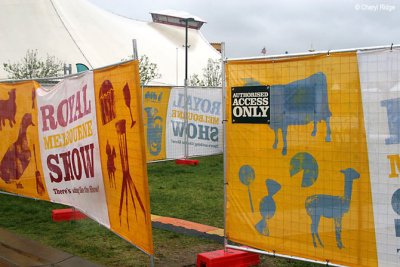 7207-royal-show.jpg