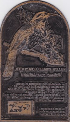 ty-nee tips printing plate - normal view