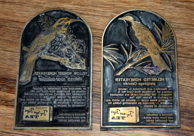 8370- ty-nee tips printing plates