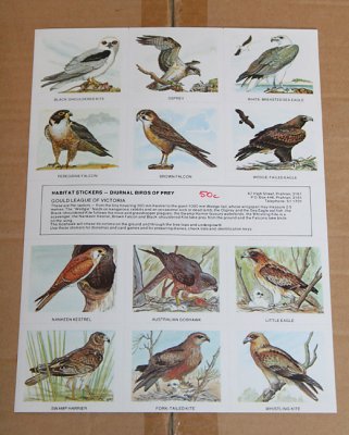 7764- diurnal birds of prey