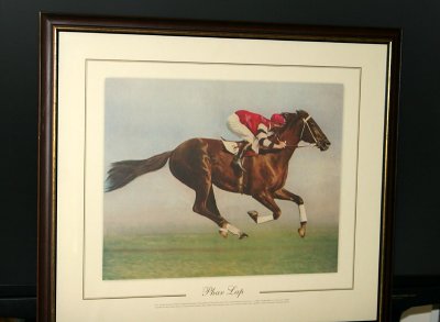 Phar Lap framed print