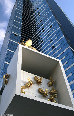 g4/24/475724/3/141217191.4RjwAo2j.jpg