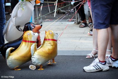 8805b-inflated-dogs.jpg