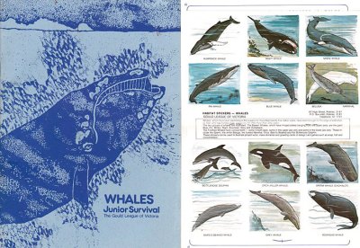 Whales Junior Survival book