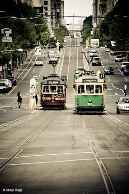 9588-trams.jpg