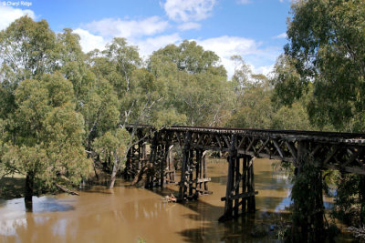 0154-gundagai.jpg