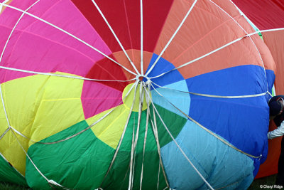9900-balloons.jpg