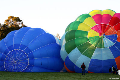 9909-balloons.jpg