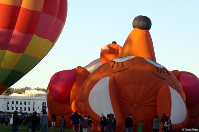 9914-balloons.jpg