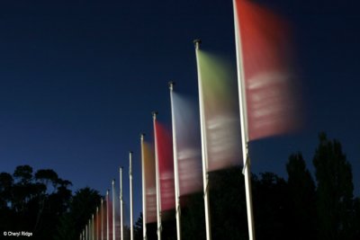 0290b-flags.jpg