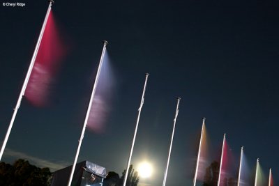 0300b-flags.jpg