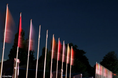 0303b-flags.jpg