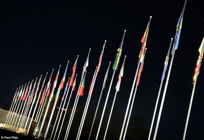 0350-flags.jpg