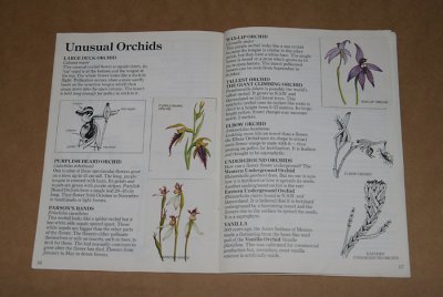 Gould League Survival book - Orchids