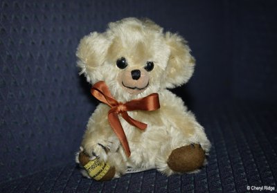 Merrythought distressed micro Cheeky 1994