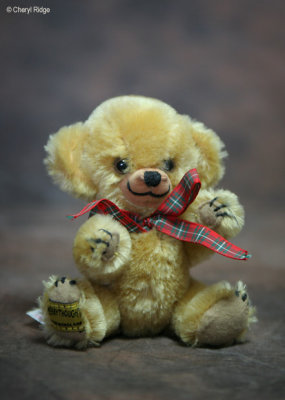 Merrythought gold micro Cheeky 1994