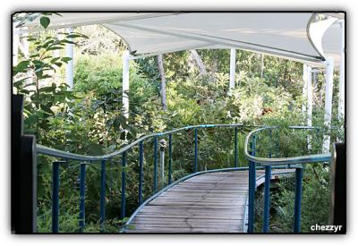 one of the walkways at kingfisher bay resort